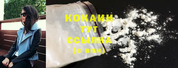 мдпв Тихвин