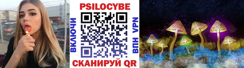 наркотики Катайск Псилоцибиновые грибы мицелий